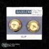 Barlow Scrimshaw Hummingbird Engraved Clip Earrings 1 copy
