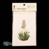 Vintage High Desert Note Card Stationary Adams Needle Yucca 3