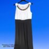Hanni Long Evening Gown Sleeveless Petite XL 8